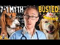 Your Dog S Age In Human Years 7 To 1 Myth BUSTED