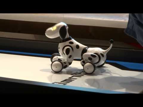 タカラトミー犬型ロボット Hello Zoomer Youtube