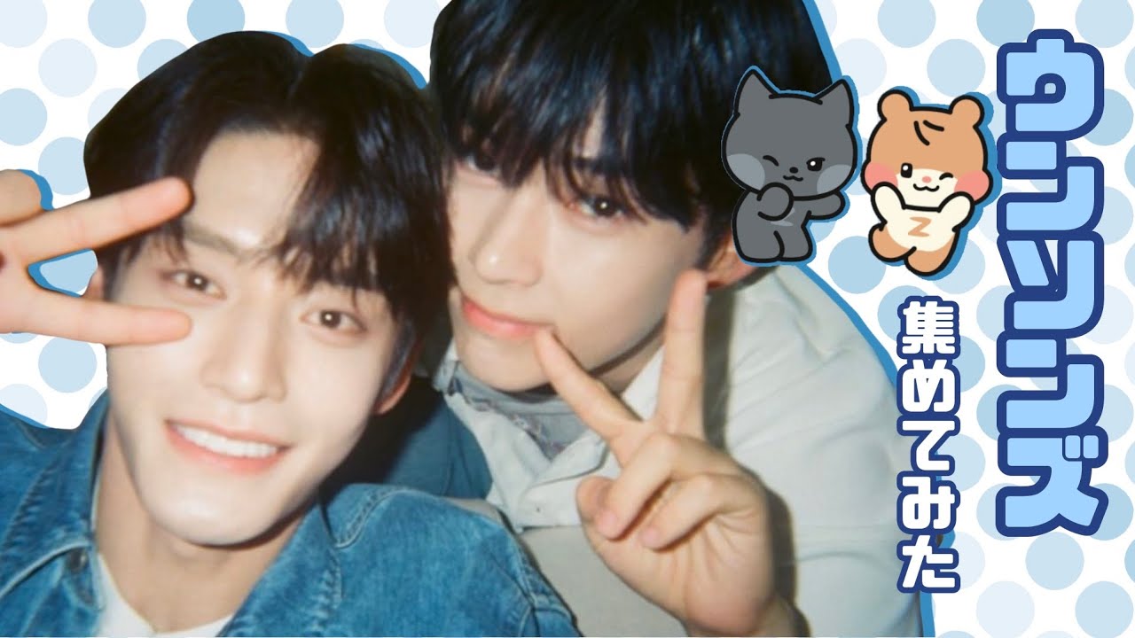 【ウンソンズ/ジウビン】属性てんこ盛りほわほわ陽気な面白キヨミお兄さんケミ【ZB1 日本語字幕】#zerobaseone #zb1 #ゼベワン #キムジウン #ソンハンビン #ウンソンズ #ジウビン