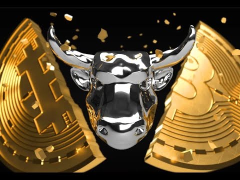 Bitcoin halving countdown!