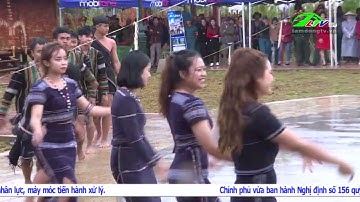 Sinh động và hấp dẫn lễ hội mừng lúa mới ở huyện Di Linh  | Lâm Đồng TV