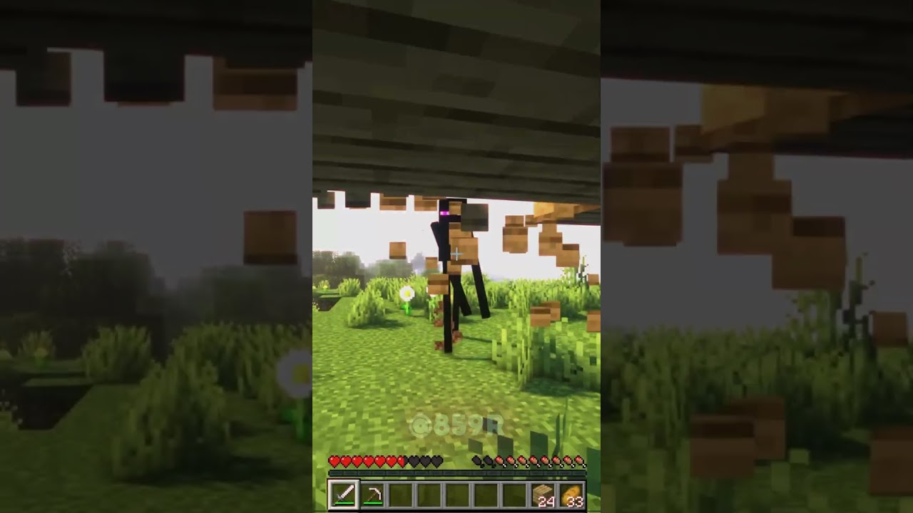 Minecraft Moment before aura ☠️ #minecraft #shorts
