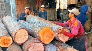 Proses Pembuatan Papan Cor Dari Kayu Berkualitas, Sawmill Kayu Indonesia Terampil
