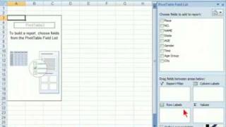 Excel 2007 Tip: Pivot Tables