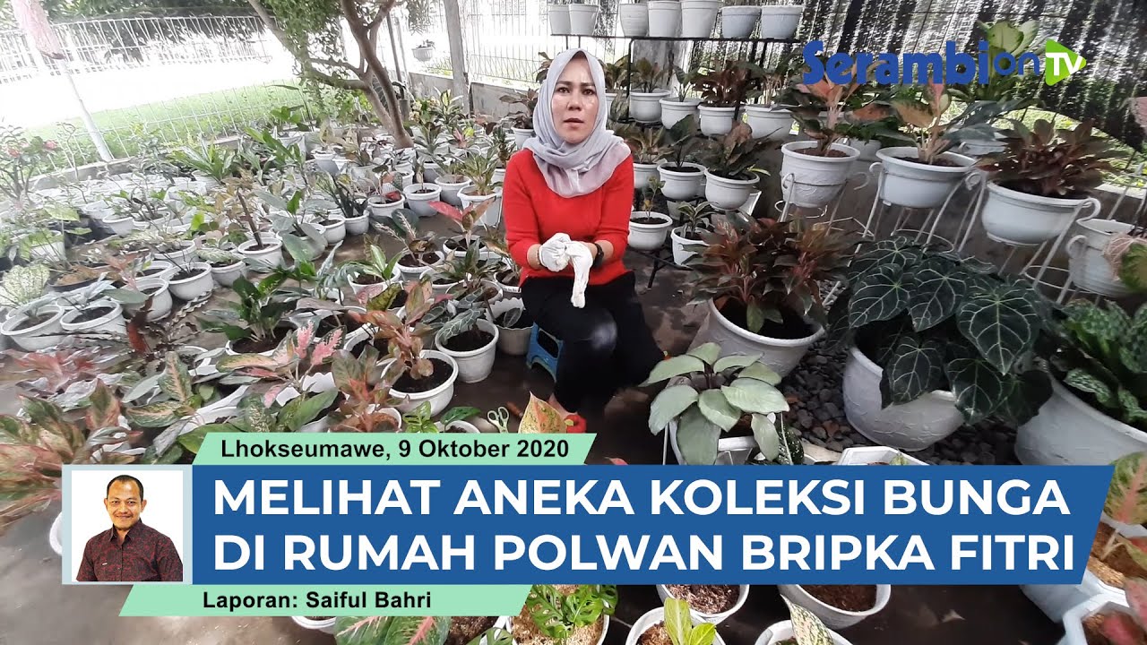 Polwan Cantik Pecinta Bunga. Punya Ragam Koleksi, Hobi Yang Mendatangkan Rezeki