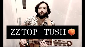 ZZ TOP - TUSH 🍑 (ACOUSTIC COVER)