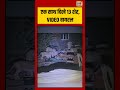 Viral Video | एक साथ दिखे 13 शेर, VIDEO वायरल #viralnews #viralvideo #shorts
