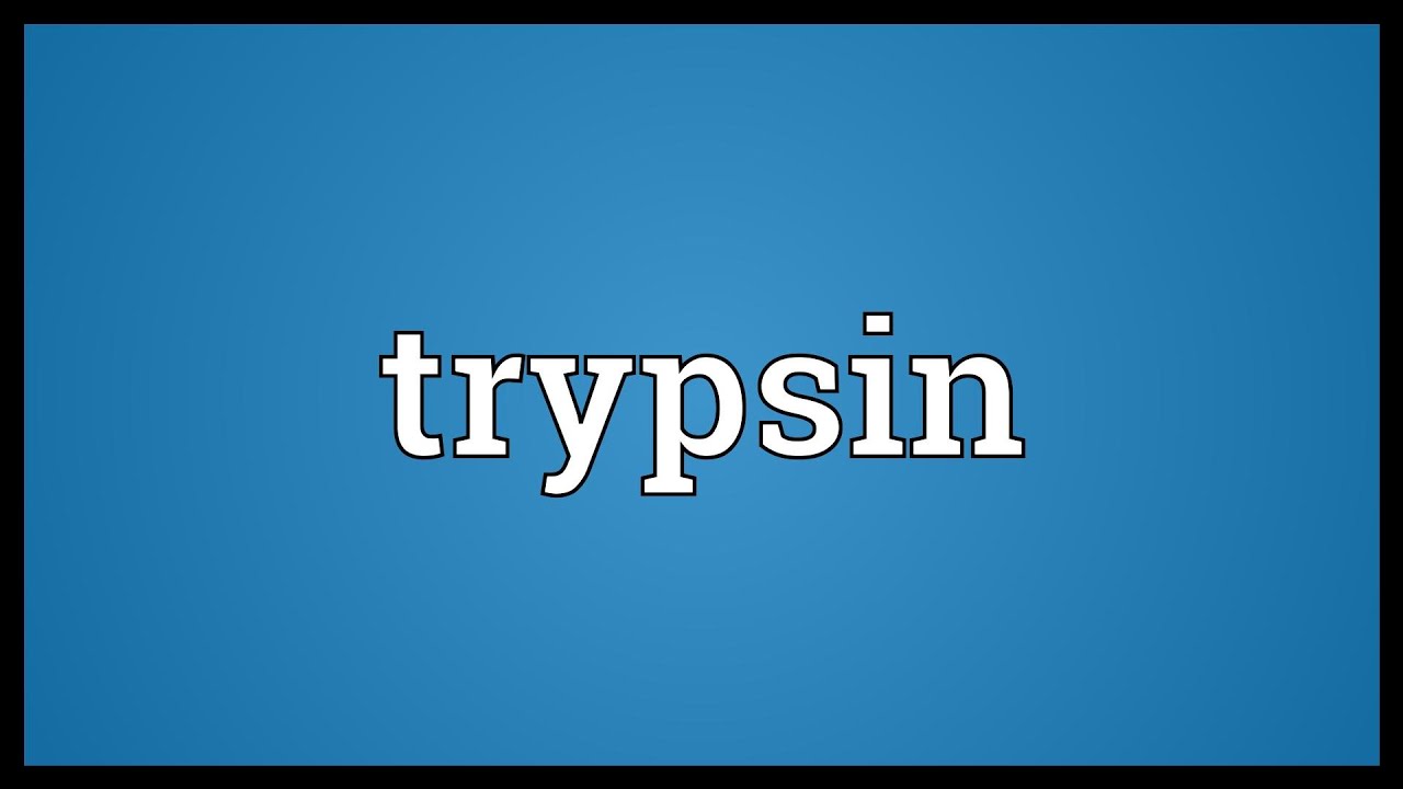 Trypsin Meaning YouTube