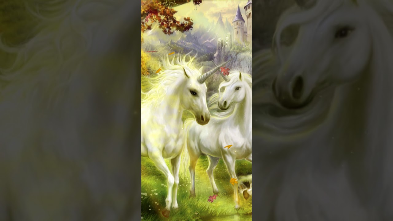 Cute Unicorn Wallpaper Live Pegasus Wallpaper Unicorn Unicorn Fantasy Images Youtube