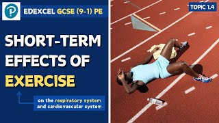 Edexcel Gcse Pe - Short-Term Effects Of Exercise - Respiratory System And Oxygen Debt 1.4