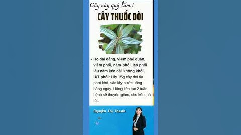 TÁC DỤNG CỦA CÂY THUỐC DÒI