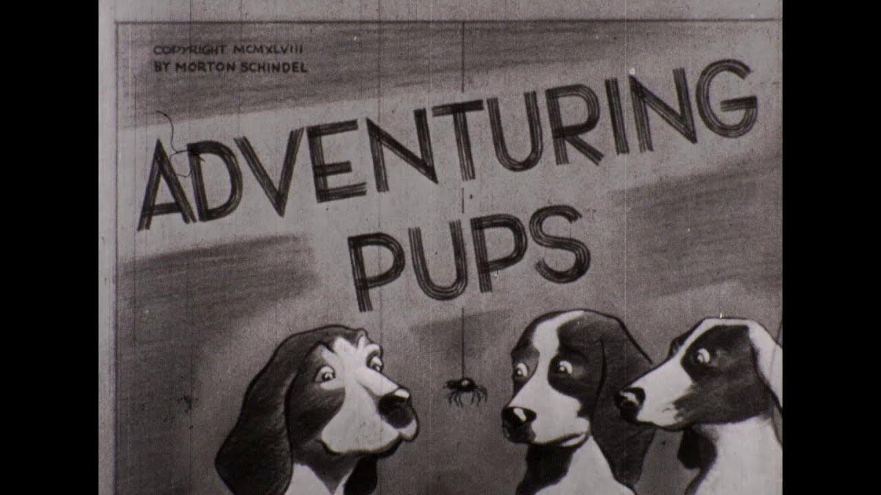 Adventuring Pups 1948 High Definition Educational Film Puppies Dogs
