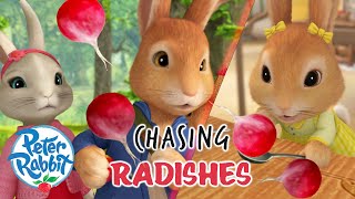 @OfficialPeterRabbit - Chasing Delicious RADISHES! | Who Is the Radish Robber?! | Cartoons for Kids