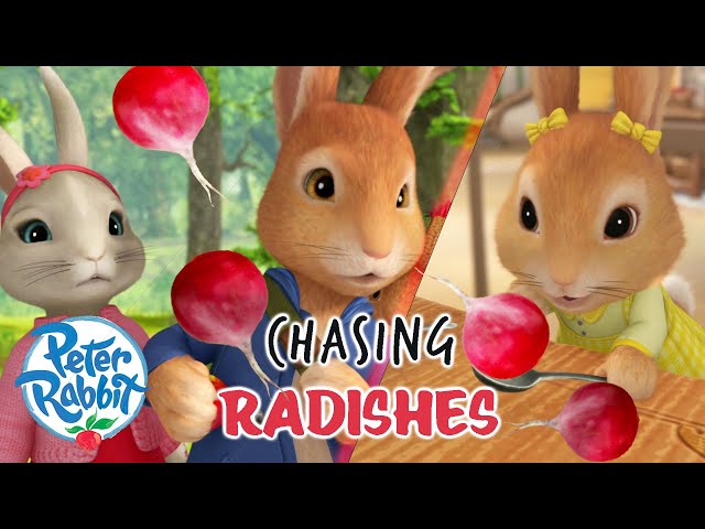 OfficialPeterRabbit - Chasing Delicious RADISHES! | Who Is the