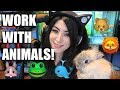 How To Get A Job With Animals