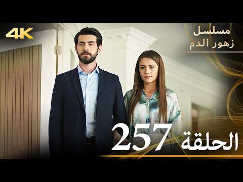 الحلقة 257 مسلسل زهور الدم مدبلج بالعربية Kan Çiçekleri جودة 4K