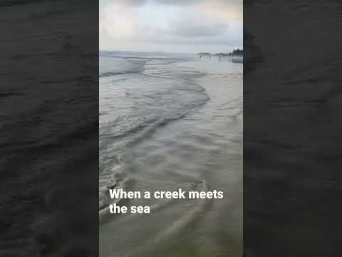 Video: River Colva: tavsifi, xususiyatlari va fotosuratlari