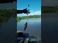 Dapat ikan jenaha di dalam tambak udang #fishing #mancing #mancingmania