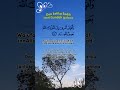 Dan aku meminta pertolongan kepada Allah 🕊️#islamvideo #quran #fypシ #viralvideo #alam #shortvideo