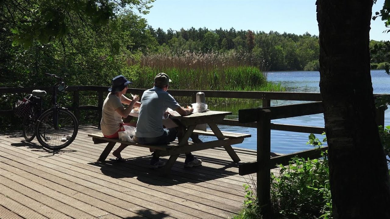 Prinsenpark Retie . 4k