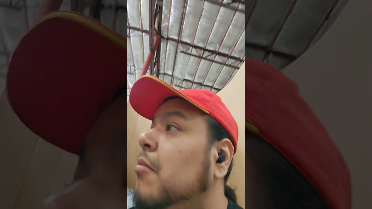 warehouse sorting packages 