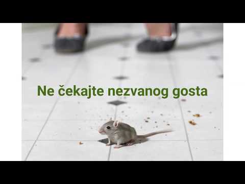 Suzbijanje štetočina deratizacijom i dezinsekcijom