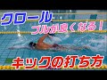 【クロール】スイムが良くなる!キックの打ち方、特性!