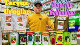 : Amerika Gollandiya Italiya Turkiya tarvuz uruglari Dastafka bor Tel +99833 301 90 90    93533 95 55
