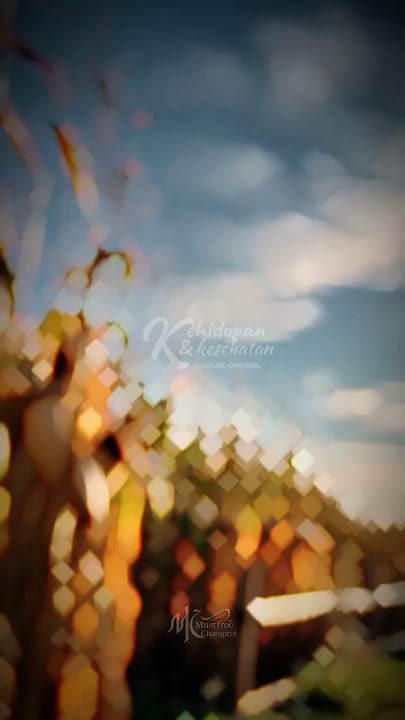 Takdir Allah Adalah Yang Terbaik | Quotes Hari Ini #shorts #storywa #status #renungan #kutipan
