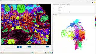 NetTracer3D Tutorial Part 4   Proximity Networks and Cellular Data Analysis