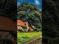 Rainy Day in Beautiful Stone Cottage 🌧️ | Peaceful Rain Sounds &amp; Nature View