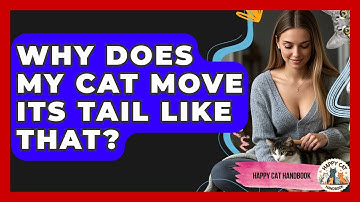 Why Does My Cat Move Its Tail Like That? - Happy Cat Handbook