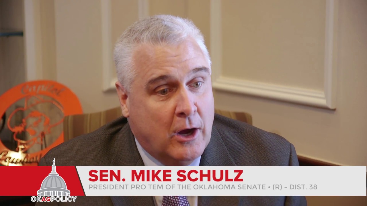 Meet the Legislator: Senate President Pro Tem Mike Schulz