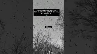 Gücüm Yetmiyor Isözler