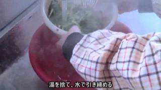 【ご当地味覚・庄内】アサツキの酢みそあえ