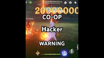 CO-OP Hacker Warning - 20 Million Damage hits - Genshin Impact