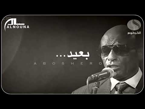 محمد الامين زاد الشجون