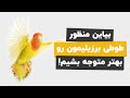 طوطی برزیلی با حرکات و صداش چی داره میگه 