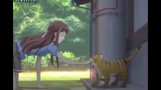 Fruits Basket all Transformations