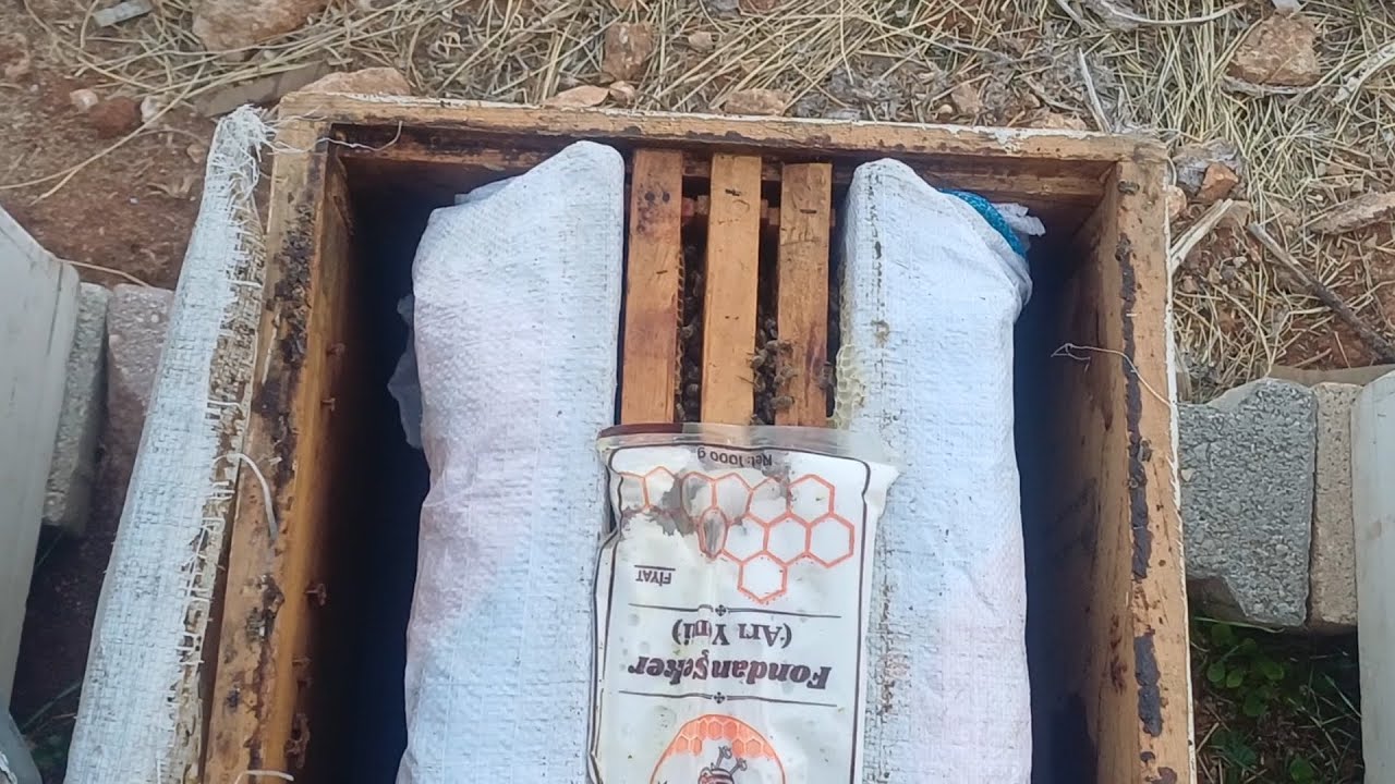 KIŞLIK KOVAN İZALASYONU YAPTIK GÖZLE GÖRÜLÜR FARK VAR SİZDE MUTLAKA ARINIZI SIKIŞTIRIN#ARI BAKIMI