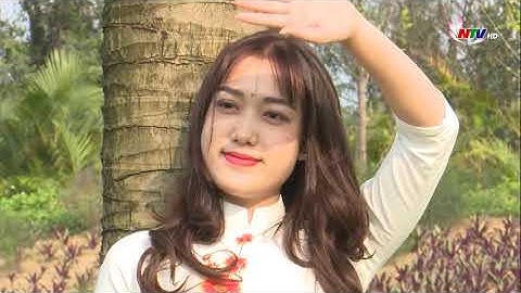 Cửa Lò sôi động trước thềm Lễ hội áo dài Hoa cúc biển 2023.