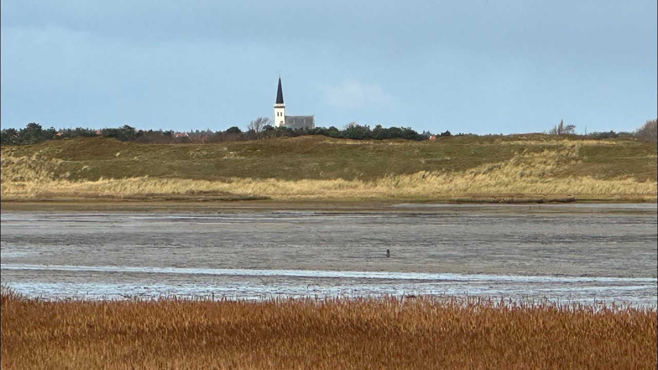 National Park Dunes of Texel Netherlands