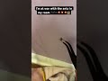 War of ants