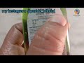 patanjali kesh kanti amla hair oil review 100ml||in hindi review||best ayurvedic hair oil best...