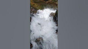 thác nước trong khu rừng