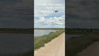 Etosha National Park, Namibia 🇳🇦