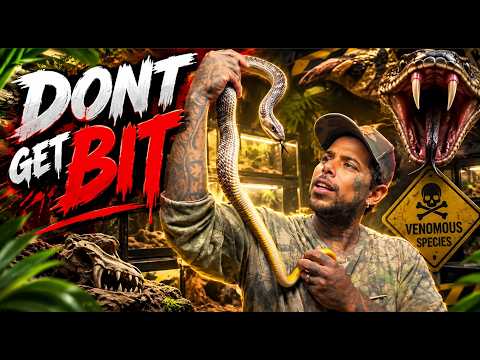 Things Got SPICY in the Snake Room! 🐍🔥