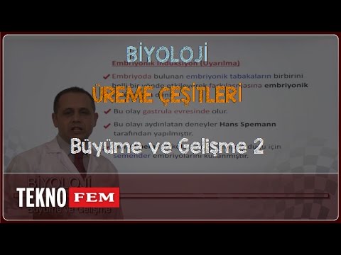 YGS-LYS BİYOLOJİ - Büyüme ve Gelişme 2