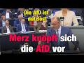 Merz Knöpft Sich Die AfD Vor Und Wird Deutlich Da Werden Sie Nicht Gebraucht Aktuelle Debatte