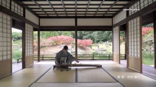 六段の調 - 八橋検校作曲 - 奏者 - 木村園代 Japan Koto - YouTube